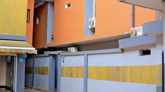 Services Professionnels